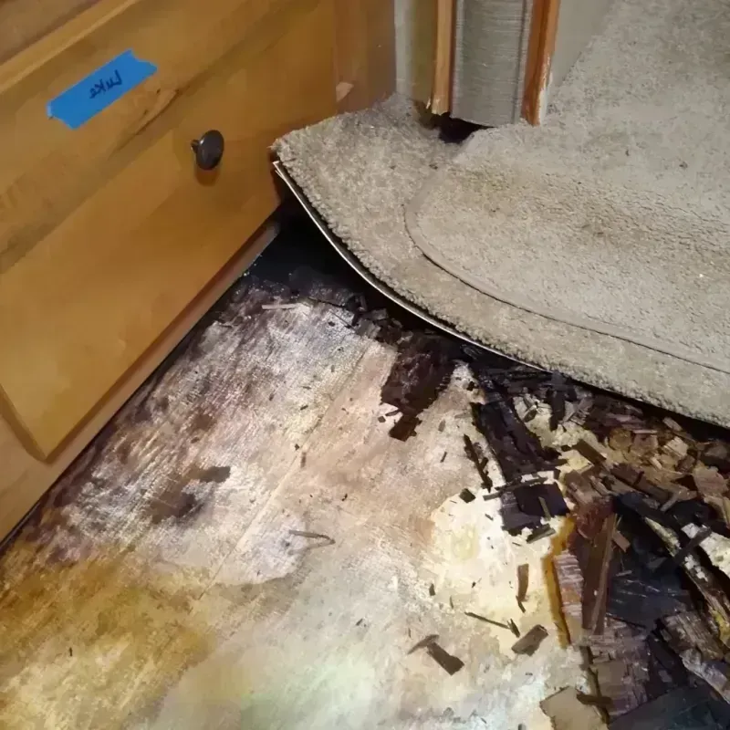 Best Wood Floor Water Damage Service in New Windsor, NY